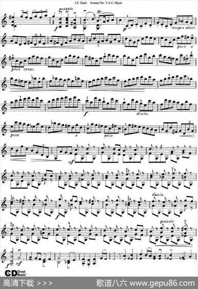 6ViolinSonatasandPartitas5.SonataNo.3inCMajor|J·S·Bach（巴赫）