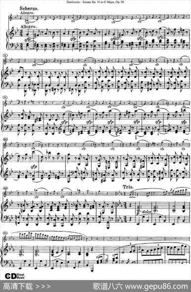 ViolinSonataNo.10inGMajorOp.96（小提琴+钢琴伴奏）