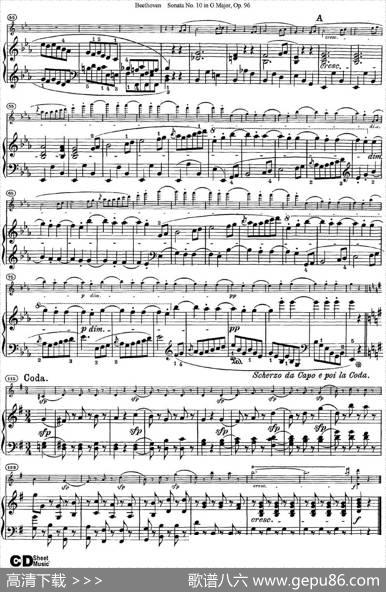 ViolinSonataNo.10inGMajorOp.96（小提琴+钢琴伴奏）