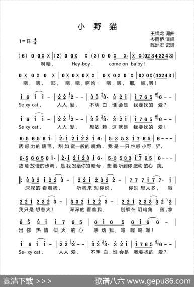 小野猫 - 王绎龙|王绎龙