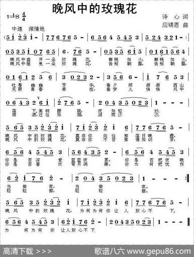 晚风中的玫瑰花（诗心词应锡恩曲） - 诗心|应锡恩