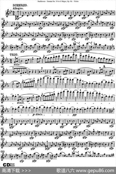 ViolinSonataNo.10inGMajorOp.96