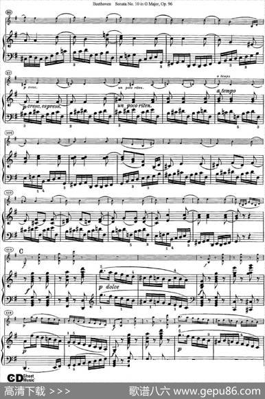 ViolinSonataNo.10inGMajorOp.96（小提琴+钢琴伴奏）
