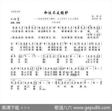 命运不是辘轳（电视剧《辘轳·女人和井》主题歌） - 张藜|徐沛东
