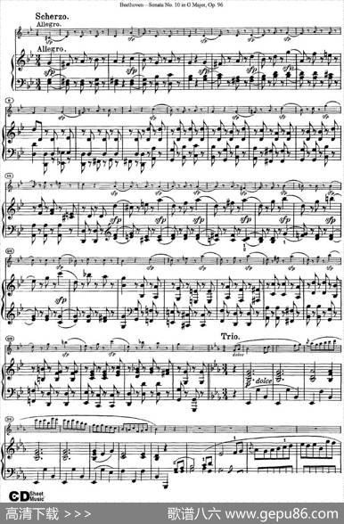 ViolinSonataNo.10inGMajorOp.96（小提琴+钢琴伴奏）