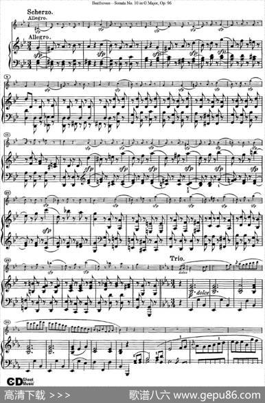 ViolinSonataNo.10inGMajorOp.96（小提琴+钢琴伴奏）