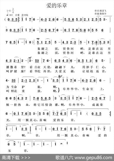 爱的乐章 - 郭显飞|鲁新华