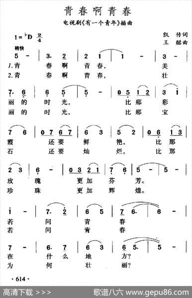 青春呀青春（电视剧《有一个青年》插曲） - 凯传|王酩