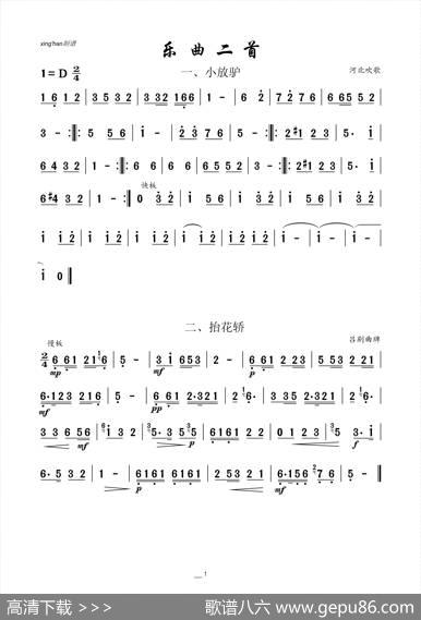 乐曲二首：小放驴抬花轿|地方民间乐曲