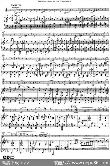 ViolinSonataNo.10inGMajorOp.96（小提琴+钢琴伴奏）