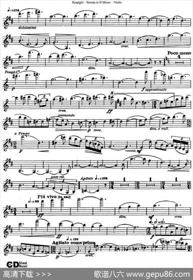 ViolinSonatainBMinor