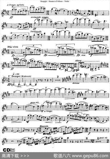 ViolinSonatainBMinor