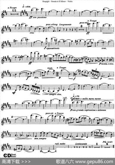ViolinSonatainBMinor