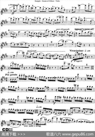 ViolinSonatainBMinor