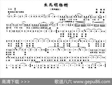 生死胡杨树 - 张海|魏锋