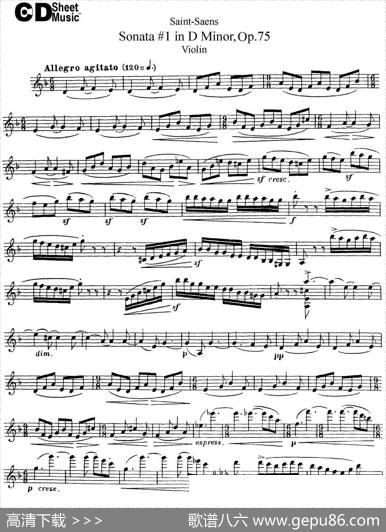 ViolinSonataNo.1inDMinorOp.75