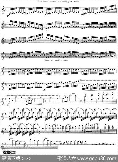 ViolinSonataNo.1inDMinorOp.75