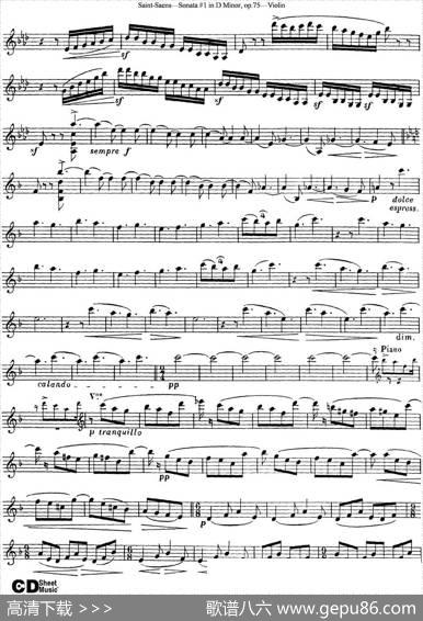 ViolinSonataNo.1inDMinorOp.75