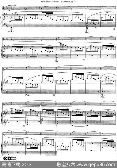 ViolinSonataNo.1inDMinorOp.75（小提琴+钢琴伴奏）
