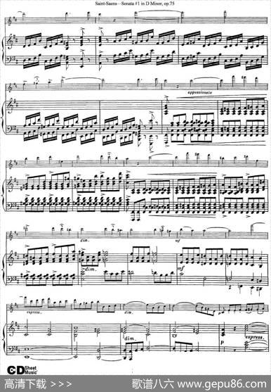 ViolinSonataNo.1inDMinorOp.75（小提琴+钢琴伴奏）
