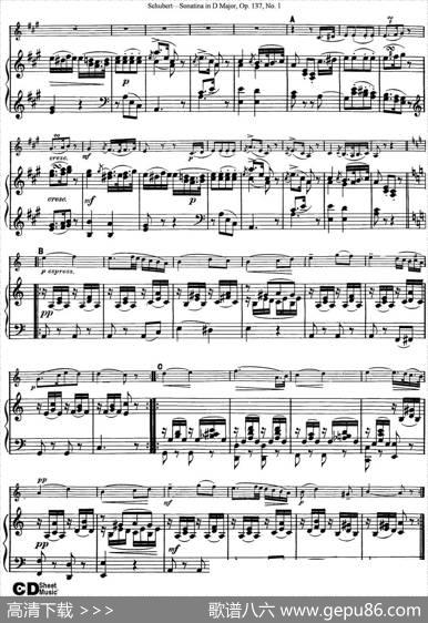 ViolinSonatinainDmajorOp.137No.1（小提琴+钢琴伴奏）