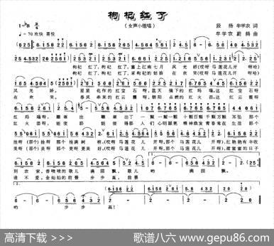 枸杞红了（段扬牟学农词牟学农蔚鸫曲） - 段扬牟学农|牟学农蔚鸫