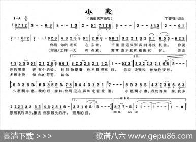 小惠 - 丁留强|丁留强