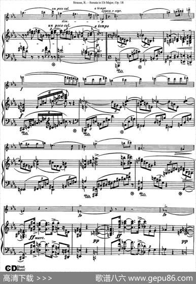 ViolinSonatainEbMajorOp.18（小提琴+钢琴伴奏）