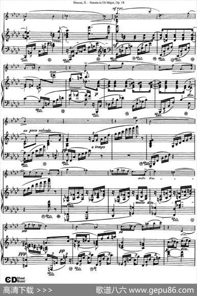 ViolinSonatainEbMajorOp.18（小提琴+钢琴伴奏）