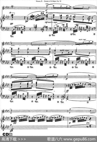 ViolinSonatainEbMajorOp.18（小提琴+钢琴伴奏）