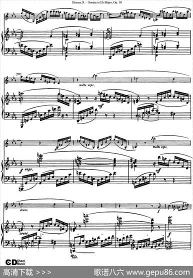 ViolinSonatainEbMajorOp.18（小提琴+钢琴伴奏）