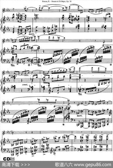 ViolinSonatainEbMajorOp.18（小提琴+钢琴伴奏）