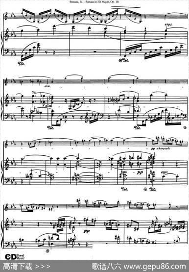 ViolinSonatainEbMajorOp.18（小提琴+钢琴伴奏）