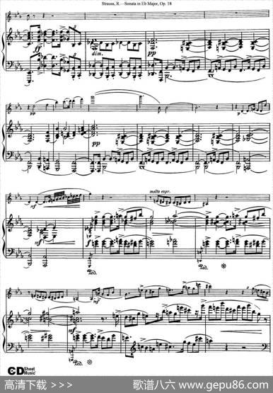 ViolinSonatainEbMajorOp.18（小提琴+钢琴伴奏）