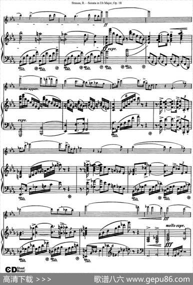 ViolinSonatainEbMajorOp.18（小提琴+钢琴伴奏）