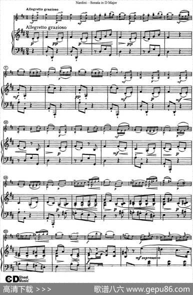NardiniViolinSonatainDMajor（小提琴+钢琴伴奏）