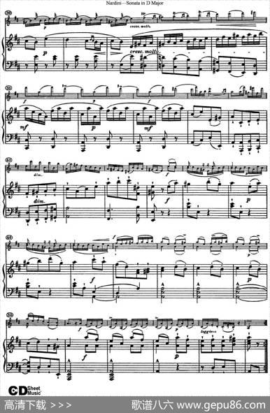 NardiniViolinSonatainDMajor（小提琴+钢琴伴奏）