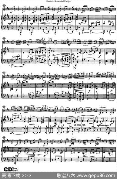 NardiniViolinSonatainDMajor（小提琴+钢琴伴奏）