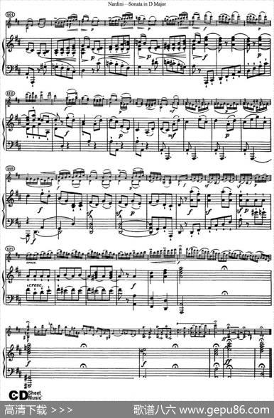 NardiniViolinSonatainDMajor（小提琴+钢琴伴奏）