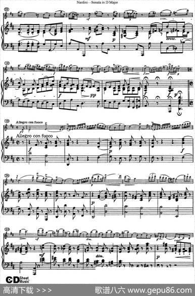 NardiniViolinSonatainDMajor（小提琴+钢琴伴奏）
