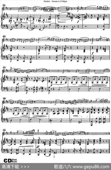 NardiniViolinSonatainDMajor（小提琴+钢琴伴奏）