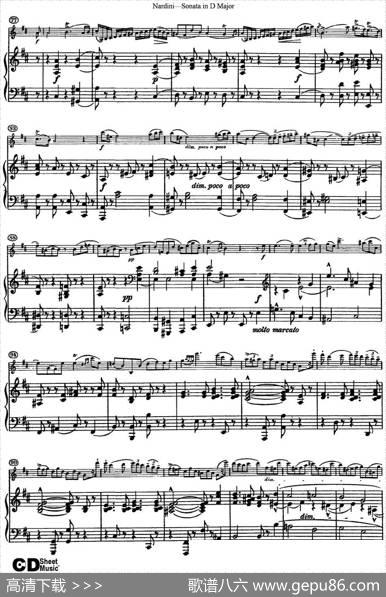 NardiniViolinSonatainDMajor（小提琴+钢琴伴奏）