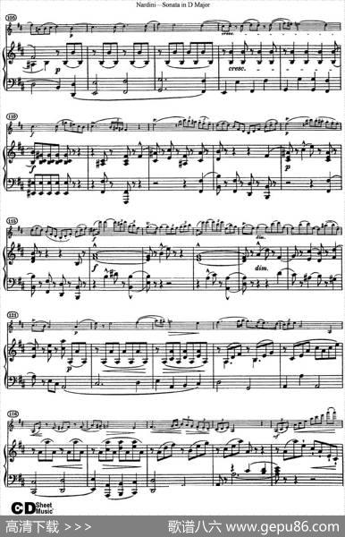 NardiniViolinSonatainDMajor（小提琴+钢琴伴奏）
