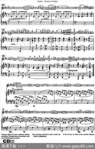 NardiniViolinSonatainDMajor（小提琴+钢琴伴奏）