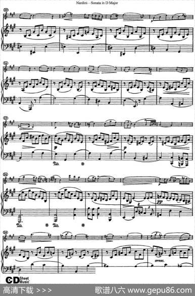 NardiniViolinSonatainDMajor（小提琴+钢琴伴奏）