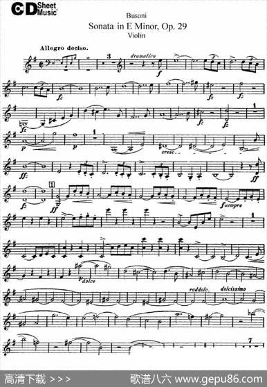 ViolinSonataNo.1inEMinorOp.29