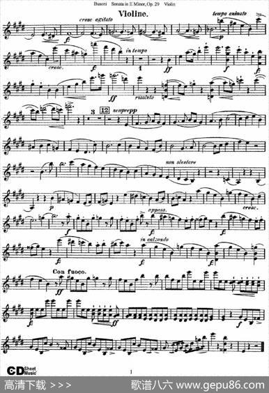ViolinSonataNo.1inEMinorOp.29