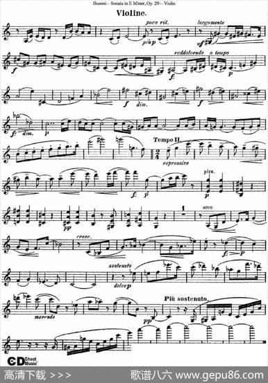 ViolinSonataNo.1inEMinorOp.29