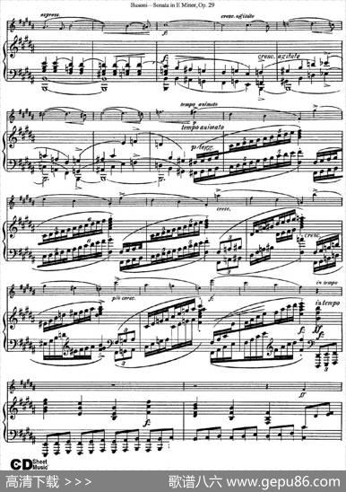 ViolinSonataNo.1inEMinorOp.29（小提琴+钢琴伴奏）