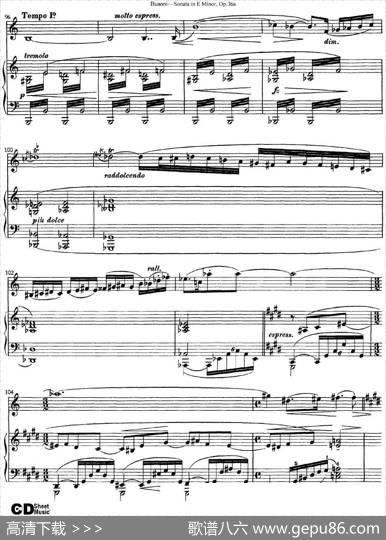 ViolinSonataNo.2inEMinorOp.36（小提琴+钢琴伴奏）